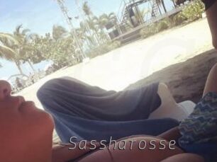 Sassharosse