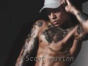 Sccot_gavinn