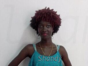 Shandy
