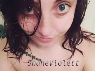 ShaneViolett Livestrip Cams