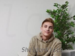 SheldonKlein