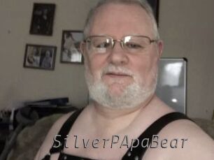 SilverPApaBear