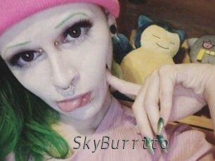 SkyBurrito