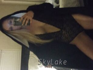 SkyLake Livestrip Cams