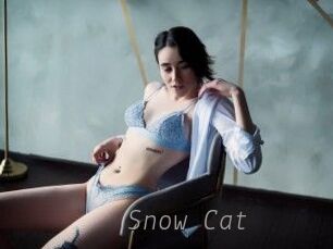 Snow_Cat