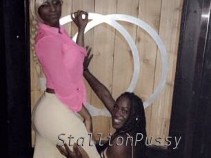 StallionPussy