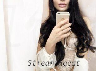 Streamingcat