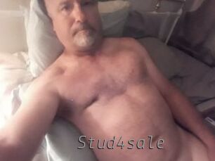 Stud4sale