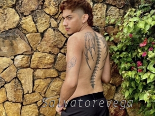 salvatorevega Livestrip Cams