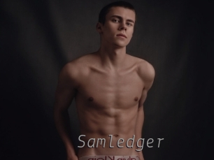 Samledger