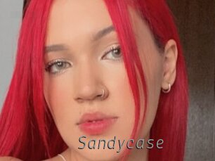 Sandycase