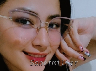 sanetmiller Livestrip Cams