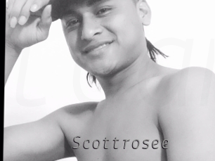 Scottrosee