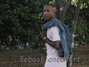 sebastianconort Livestrip Cams