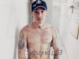 sebasvip23 Livestrip Cams