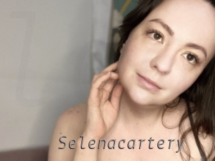 Selenacartery