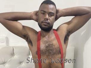 Shane_wadson