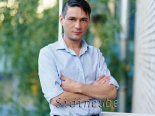 Sid_incube