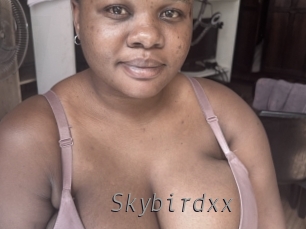 Skybirdxx