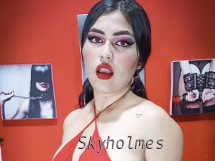 skyholmes Livestrip Cams