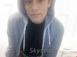 skyreach Livestrip Cams