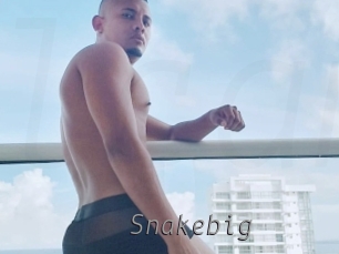 snakebig Livestrip Cams