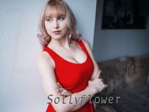 sollyflower Livestrip Cams