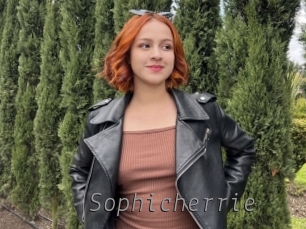 Sophicherrie