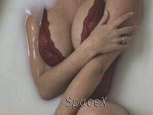 spaceX Livestrip Cams