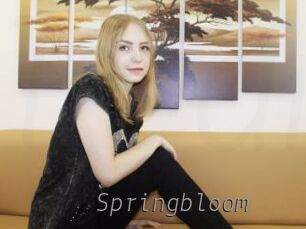 Springbloom