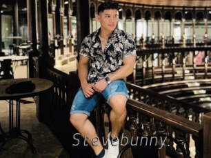 stevebunny Livestrip Cams