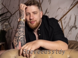 stevecassidy Livestrip Cams