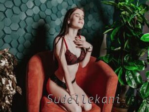 Sudellekani