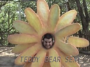 TEDDY_BEAR_SEXY