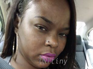 T_N_Ttiny