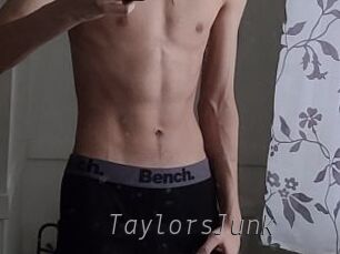 TaylorsJunk