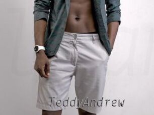 TeddyAndrew Livestrip Cams