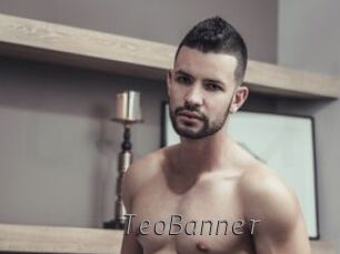 TeoBanner