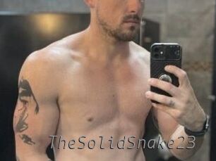 TheSolidSnake23