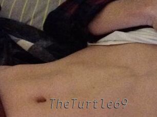 TheTurtle69