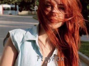 TinyFox