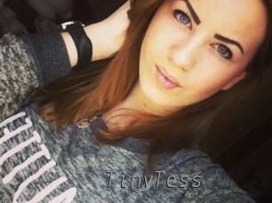 TinyTess