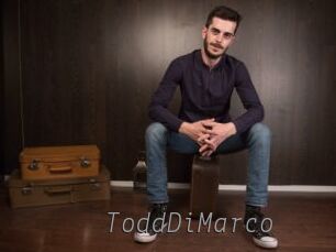ToddDiMarco