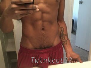Twinkcut22