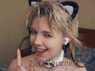 taitebucher Livestrip Cams