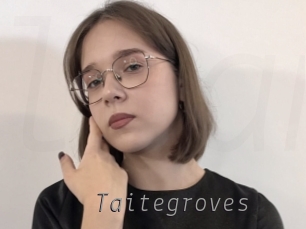 taitegroves Livestrip Cams