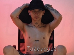 Tatevogel