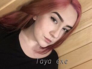 Taya_exe