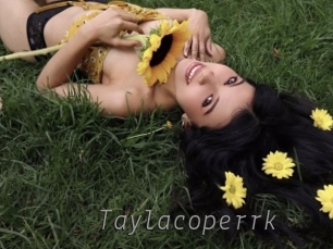 Taylacoperrk