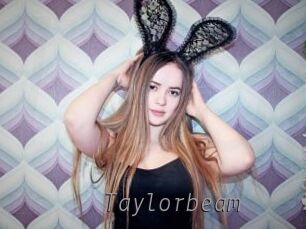 Taylorbeam